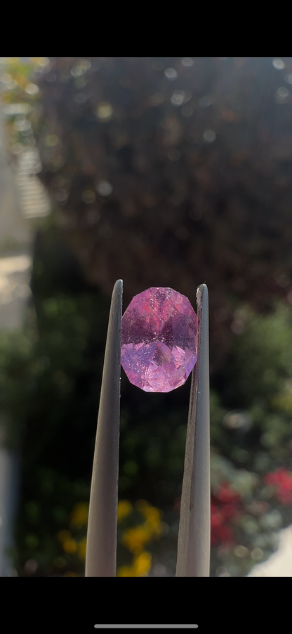 1.30 CT's SAPPHIRE "MILKY PINK"  MADAGASCAR (H)