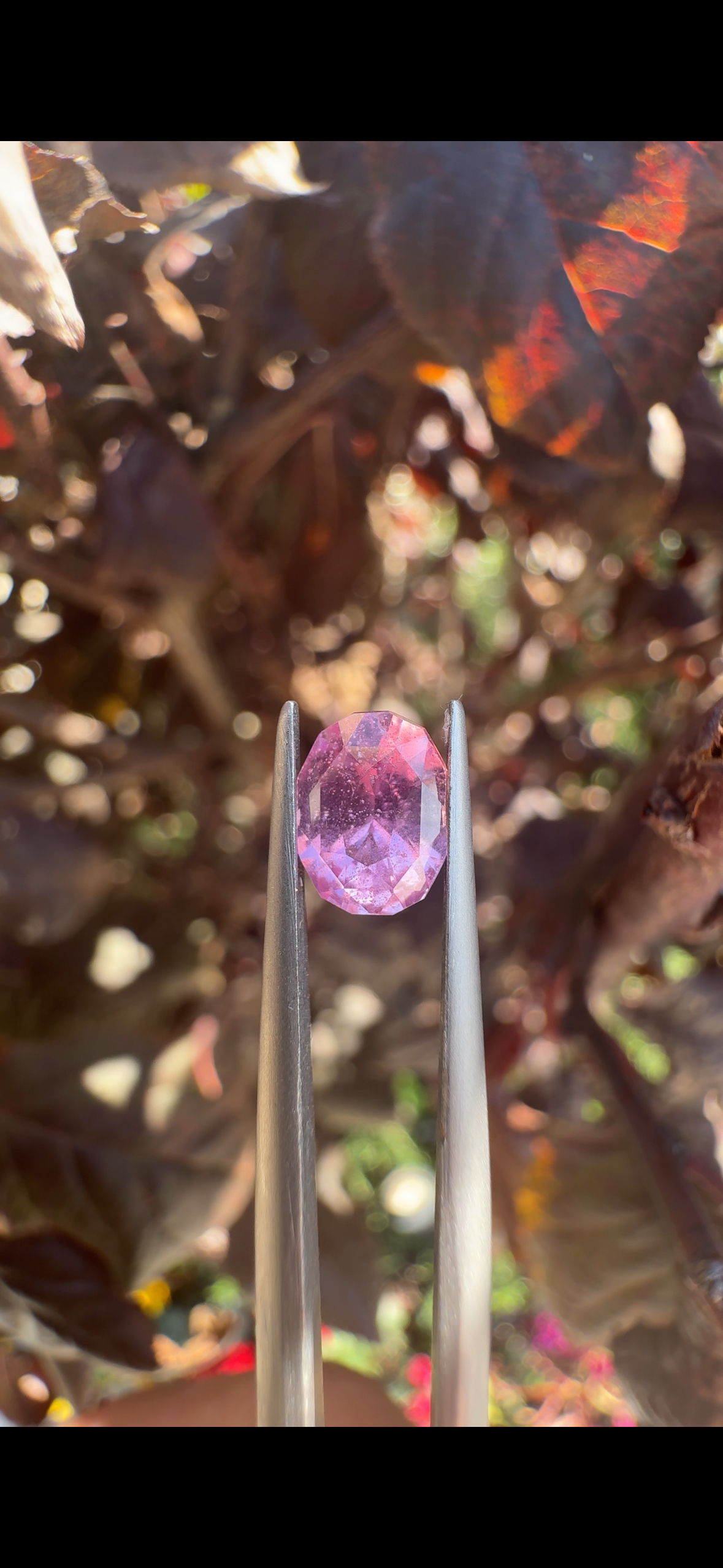 1.30 CT's SAPPHIRE "MILKY PINK"  MADAGASCAR (H)