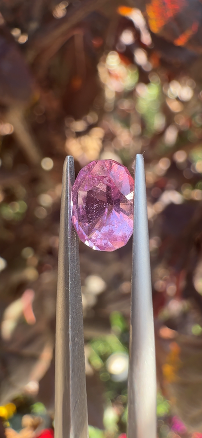 1.30 CT's SAPPHIRE "MILKY PINK"  MADAGASCAR (H)