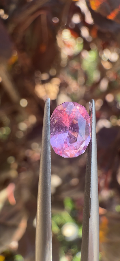 1.30 CT's SAPPHIRE "MILKY PINK"  MADAGASCAR (H)